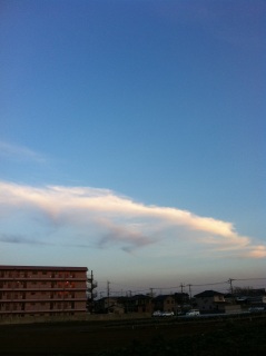 (untitled)