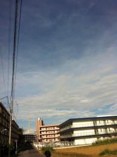 (untitled)