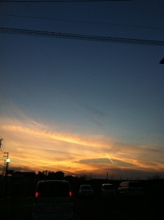 (untitled)