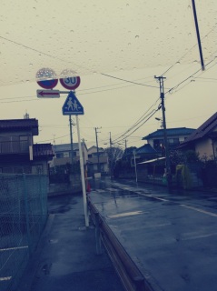 (untitled)