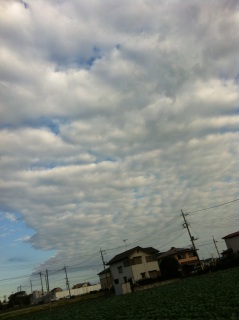 (untitled)