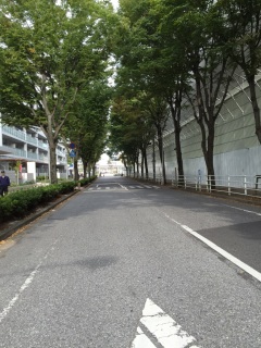 Ȃ