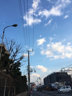 (untitled)