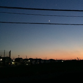 (untitled)