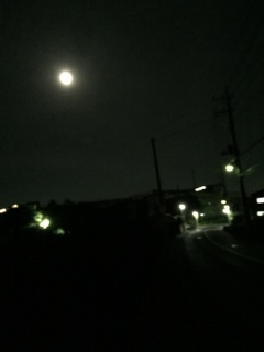 (untitled)
