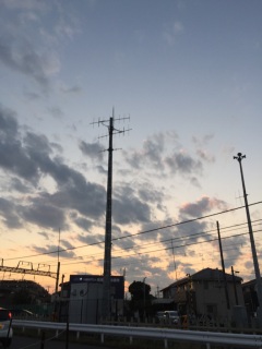Ɗ