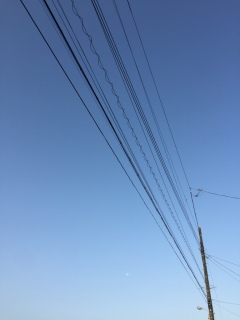 炿ƍlĂA